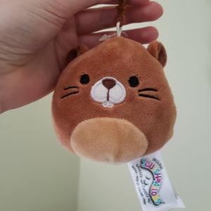 COPY - 2 for $20 Chip the Beaver 3.5" Clip Squish…